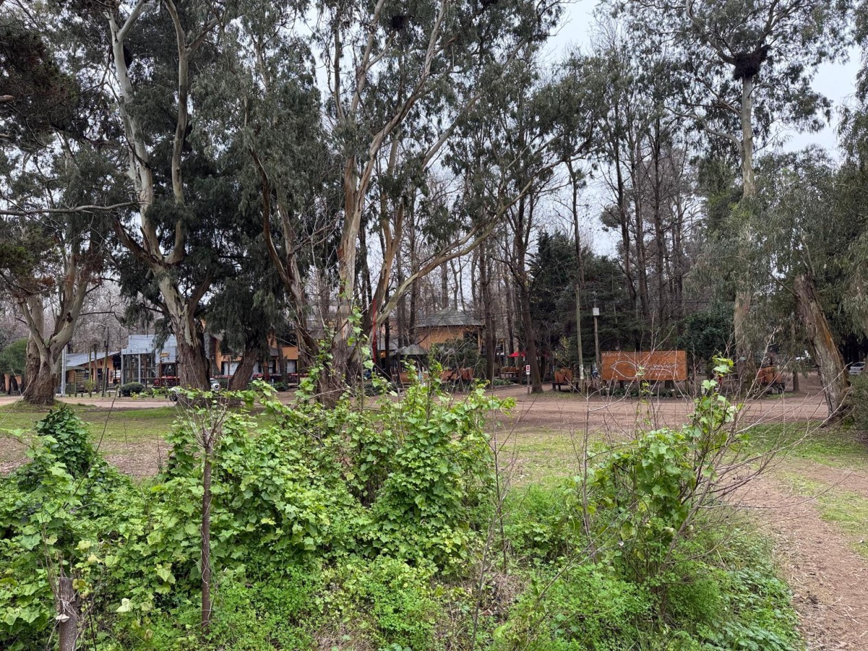 L2 - Lote Entre Rios e/ Lavalle y La Rioja - Santa Teresita