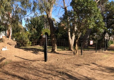 Lote Calle Salta casi esq. Mendoza - L12
