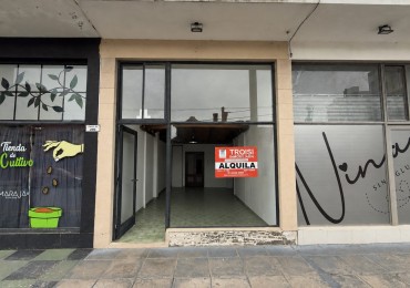 A8 - Local Calle 33 N°290 e/ 33 y 34
