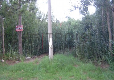 L18 - Lote Calle Buenos Aires e/ 27 y Peatonal - Santa Teresita